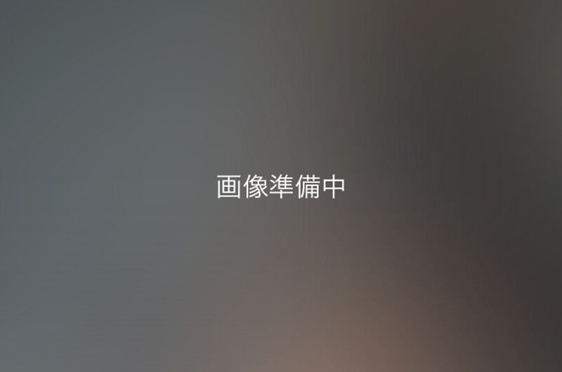 SAMPLEの写真